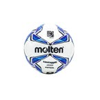 Мяч футзальный №4 Molten F9V4800