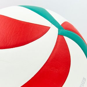 Мяч волейбольный №5 Molten VB-2635